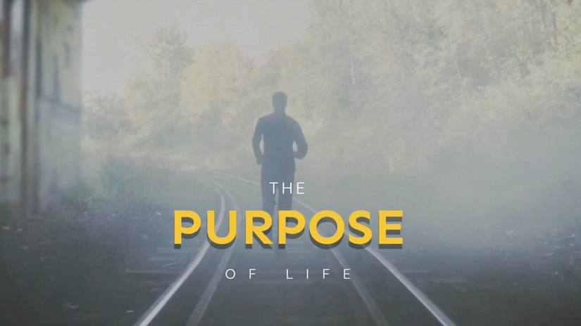 The Purpose of Life | English